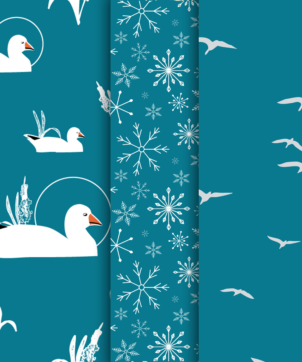 SnowGooseCollection